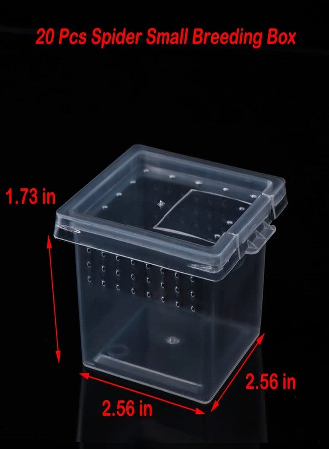 DQITJ 20 Pcs Spider Terrariums Breeding Box Hatching Container Acrylic Feeding Box for Small Reptile Scorpion Centipede Insect (Small Size) - Image 4